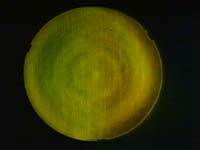 © W. Rohr; Synta Objektiv 150 mm / 1200 mm, nach der Behandlung Foucault-Test: gelbgrün