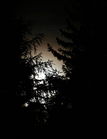 © W. Ransburg; Gegen 22h hat sich der Mond schon angekündigt, vorher konnten wir eine Fülle von Beobachtungen und Fotografien machen.